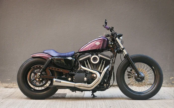 Harley-Davidson Sportster Custom 883 Overview
