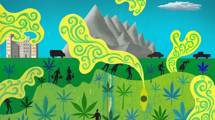 Can You Travel by Car With Medical Marijuana Tips Inside